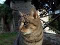 DSCN8724