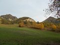 DSCN8739