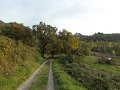 DSCN8742