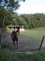 DSCN8743