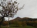 DSCN8757