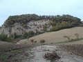 DSCN8760