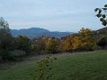 DSCN8764
