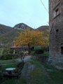 DSCN8768