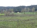 DSCF1079