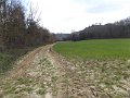 DSCF1083