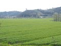 DSCF1086