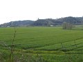 DSCF1087