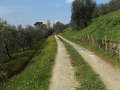 DSCF1108